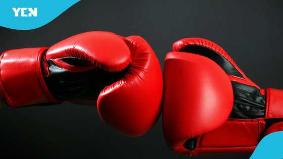International boxer tragically dies aged 25, as sad tributes pour in