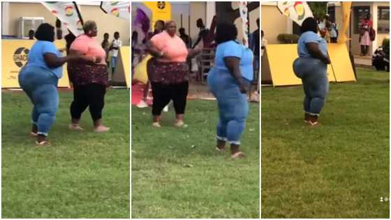 Plus-size ladies proudly flaunt their curves in skin-tight outfits; peeps talk