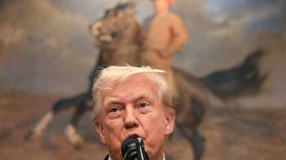 Clock ticks on US tariff hikes as Trump broadens blitz