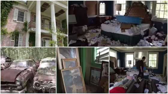 Man discovers old, abandoned mansion with 100s of cars, lovely paintings & luxury furniture, shares clip of it