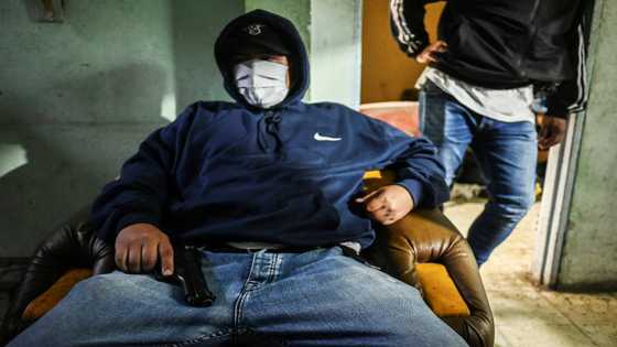 Murder rate plummets amid 'gangster peace' in Medellin
