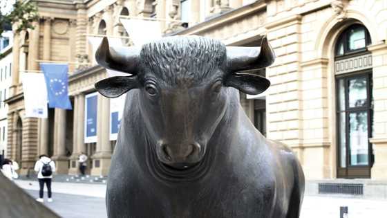 Asian markets enjoy healthy bounce after Wall St rally