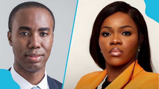 Kwabena Adu-Boahene's wife Angela Adjei Boateng released on bail, details drop