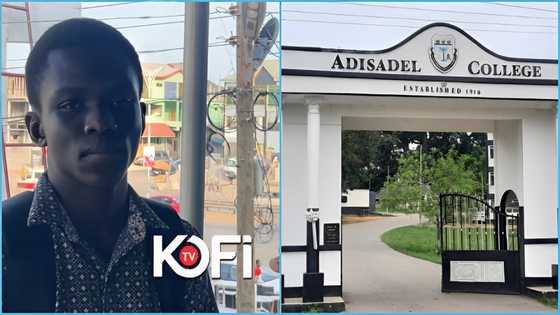 WASSCE: Adisadel College alumnus who had 8As begs for support to attend university, video evokes sadness