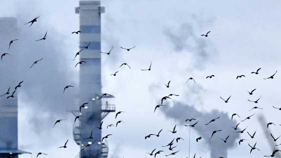 Bleak year for German engineering firms amid US, China turmoil