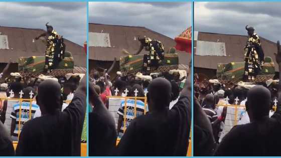 Ghanaian Chief in palanquin dances to King Paluta's Makoma during festival possession