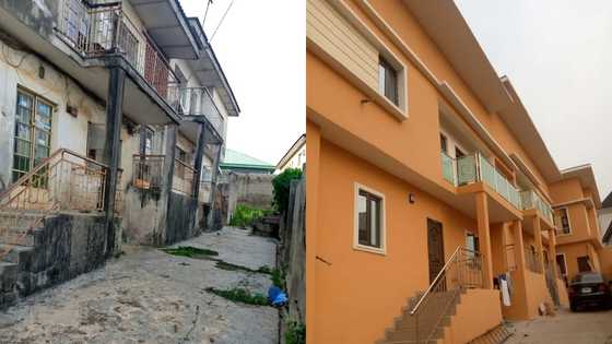 Talented designer turns old storey building into colorful mansion; shares 4 powerful photos