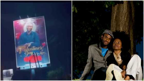 Valentine's Day: Young lady erects billboard to celebrate her lover, netizens gush over her action