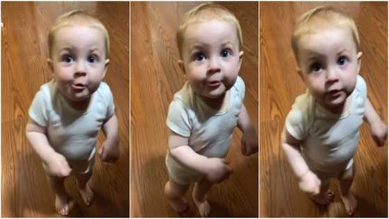 Toddler warms hearts with response during questioning
