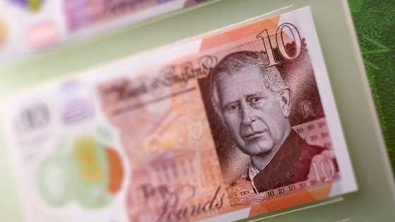 Bank of England to hold rate despite slowing inflation