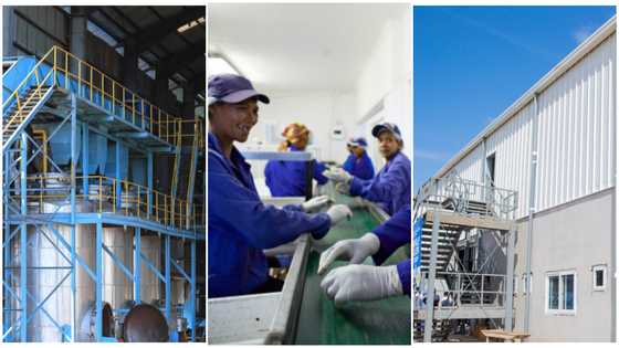 The location of EKA Foods, Birim Oil Mills Limited and other factories under 1D1F