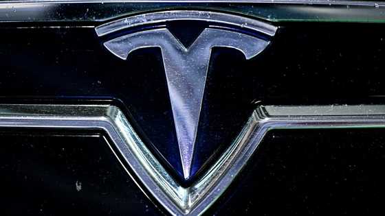 French Tesla customers sue over brand becoming 'extreme right'