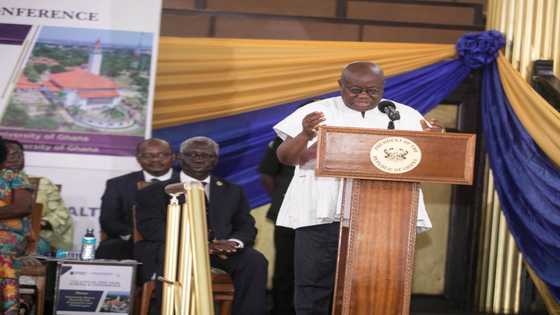 My government has achieved a lot in three years; give us another term - Akufo-Addo