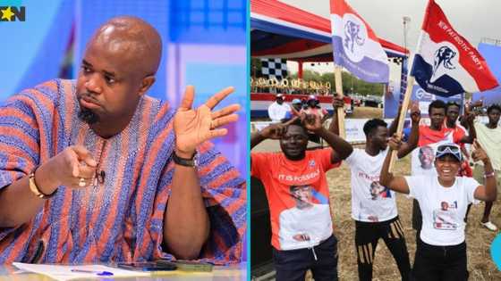Edudzi Tameklo criticises NPP's reorganisation efforts: "I'd be glad if NPP collapses"