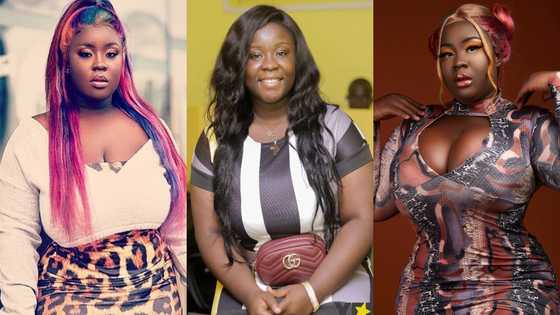Old photo of when Kumawood star Maame Serwaa started acting as a sweet little girl pops up