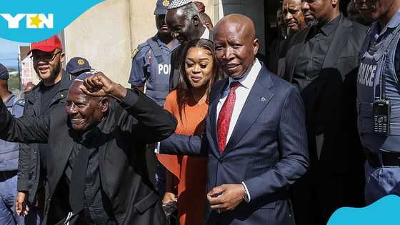 South African political firebrand Julius Malema sentenced to 5 years in prison