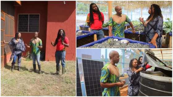 African-American couple relocate to Ghana to live in solar-powered house and start tilapia farming