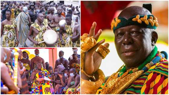 Nana baakop3: Otumfuo storms Keta for Hogbetsotso Za 2022 with over 200 servants, list of his big entourage causes stir