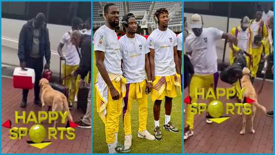 Video of Medeama players being sniffed by dogs before being allowed in US stadium causes outrage