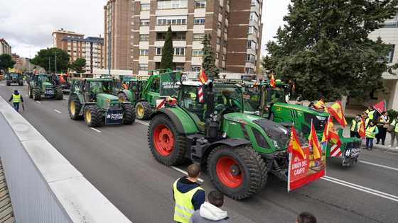 EU chief outlines more concessions for bloc's farmers