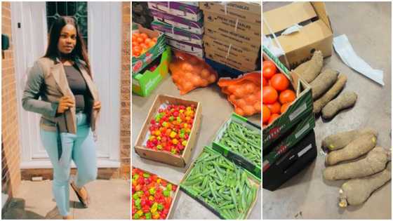 Lady in UK visits market that looks like Nigeria gets GH¢340 yam, Plantain GH¢500; Netizens reacts