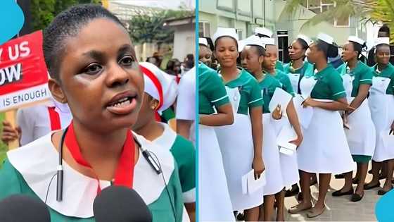 Unpaid nurse cries out in emotional video over harsh living conditions: “I beg for food”