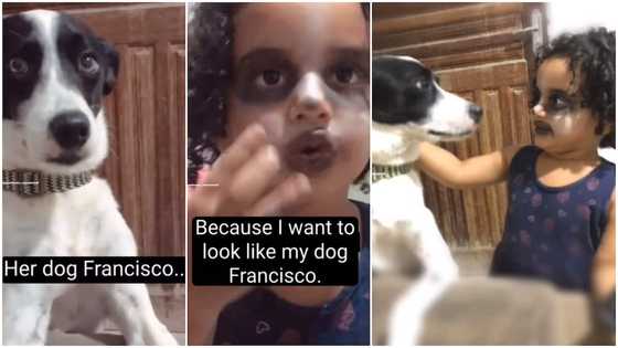I want to look like my dog - Little girl says as she makes up her face in funny video, stirs reactions