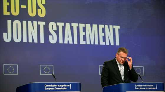 EU gets 15% US tariff for cars, fails to secure wine reprieve