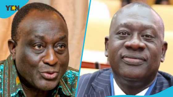 "Take me to court": Alan dismisses OB Amoah's suggestion NPP can force him to stay in party