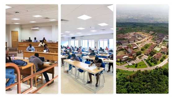 100% of Ashesi graduates in history got jobs or graduate school admissions in 6 months