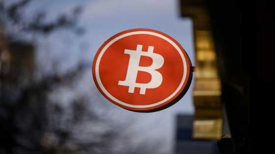 Salvadoran president vows to buy "one #Bitcoin every day'