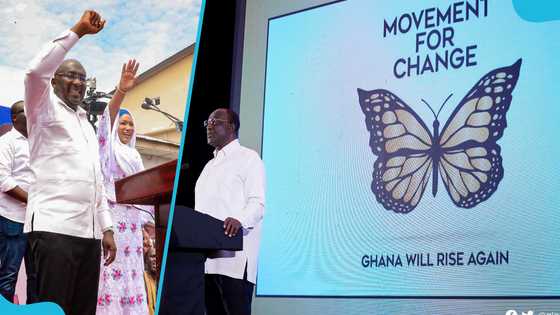 "Final nail in the NPP’s coffin": Pollster says party's chances in 2024 polls over after Alan's resignation