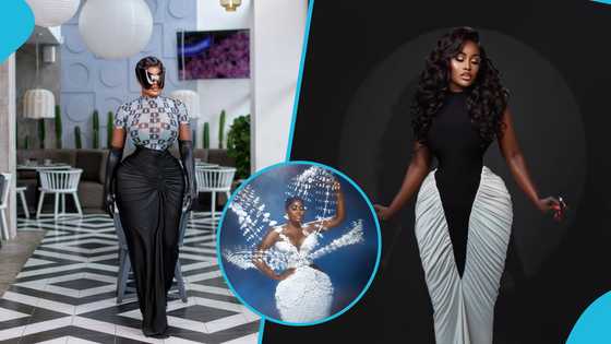 AMVCA 2025: Nana Akua Addo rocks an exquisite dress with moving fans designed in India