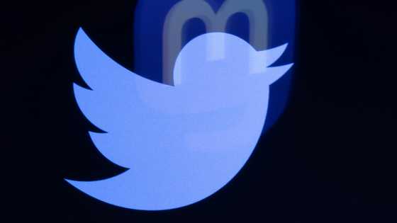 Musk 'kills' new Twitter label, hours after launch