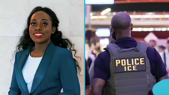 US: List of airports with ICE agents emerges, immigration lawyer advises travellers