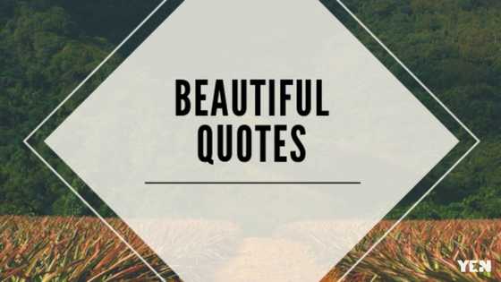 20 beautiful quotes for him and her