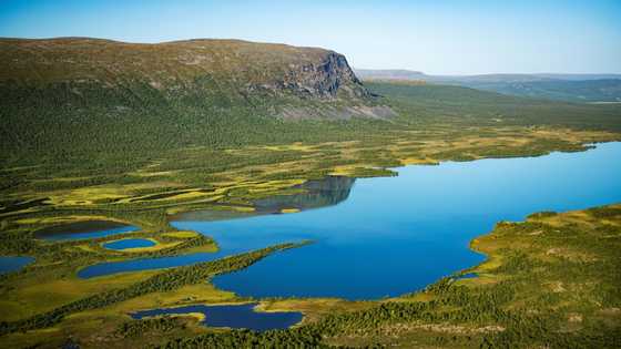 Faster growth may help bacteria remove lake plastic waste: study