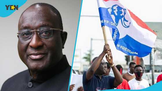 "We're analysing the results": Alan Kyerematen speaks after NPP super delegates congress