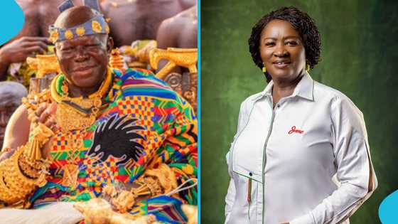 Otumfuo Osei Tutu II and Prof Opoku-Agyemang flaunt their dance moves, fans react