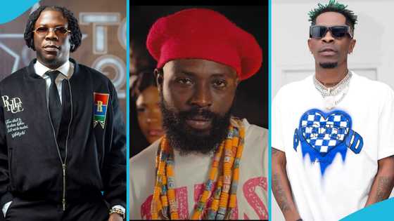 Kwame Yogot rates Jejereje, blames Stonebwoy for copying Shatta Wale