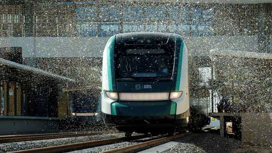 Mexico's Maya Train underway, despite environmental concerns