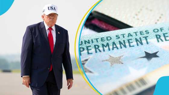 Joy as court orders USCIS to restart processing of delayed green card and work permit applications