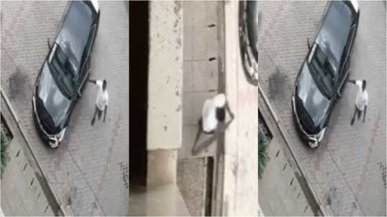CCTV captures thief who returned to allegedly steal again in same house; video emerges
