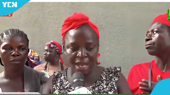 Plantain chip sellers charge against crooked practices, form association to check members