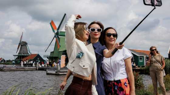 Dutch windmill village churned by overtourism debate