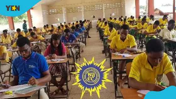 2023 WASSCE and BECE under threat: Minority fears huge gov't debt to WAEC threatens crucial exams