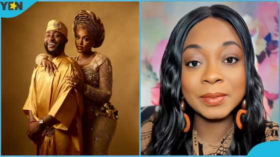 Chivido 2024: Dr Zee advises Chioma to leverage on Davido's economic capital, video trends