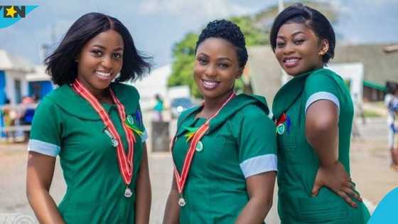 Nurses suspend strike after parliamentary intervention