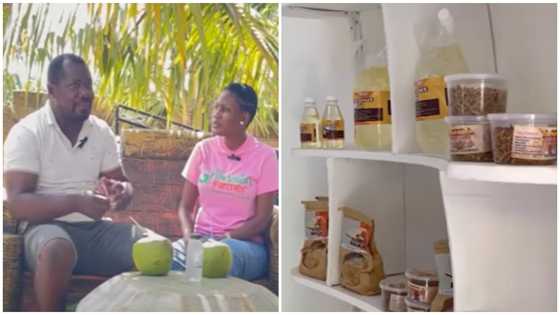Ghanaian man quits his job as medical doctor to become coconut farmer:" I don’t regret my decision”
