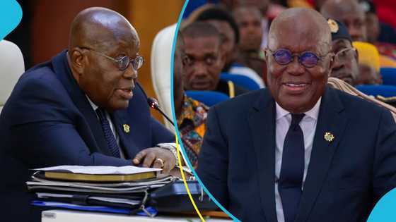 Akufo-Addo grants charters to 14 universities, urges them to maintain high standards